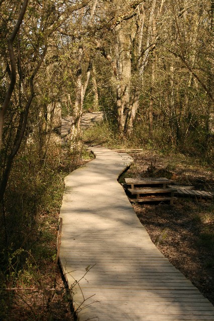 path